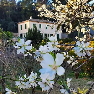 https://agroturisme-finca-sa-maniga.allmallorcahotels.com